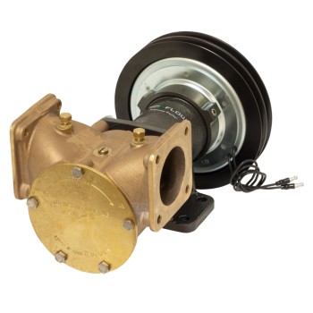 Johnson Impellerpumpe F9B-5600 Flanged